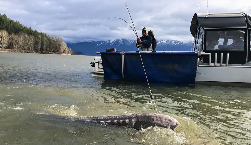 Top 15 Questions I Get As A Sturgeon Fishing Guide