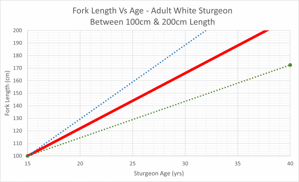 adult sturgeon growth rate