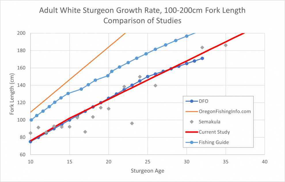 adult sturgeon growth rate comparison