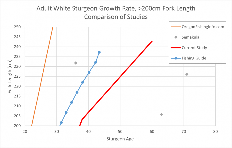 large sturgeon growth rate comparison