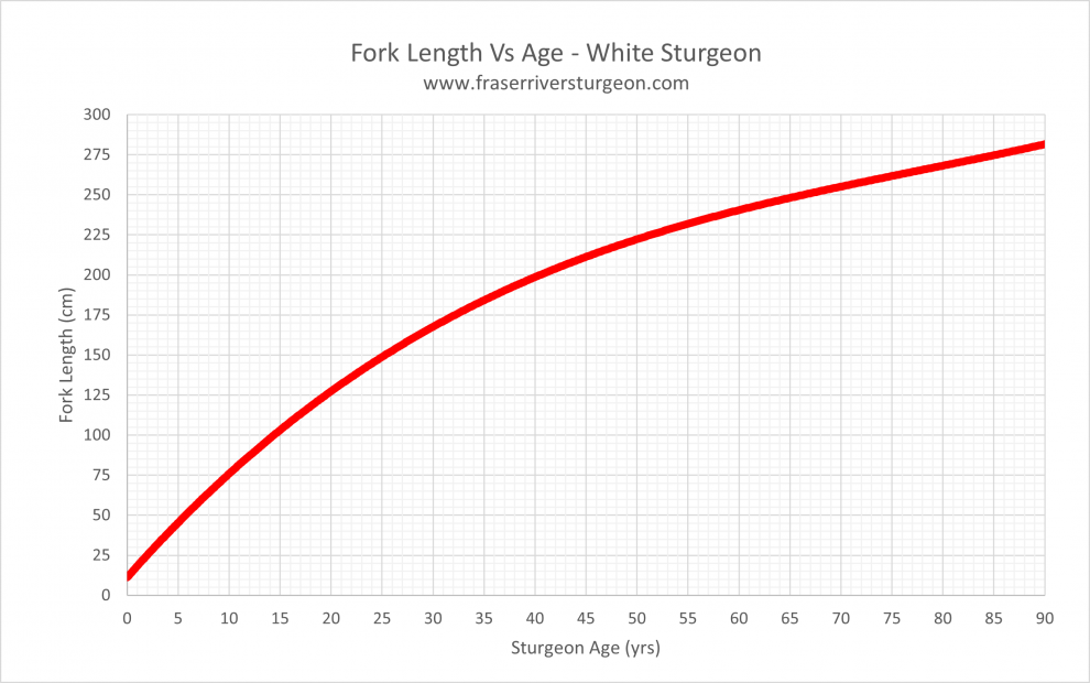 White Sturgeon Length vs Age Chart
